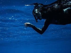 Makin Mengejutkan! Mikroplastik Ditemukan di Hewan Laut Dalam Indonesia
