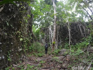 Kisah Desa di Pangandaran yang Kerbaunya Raib Secara Gaib