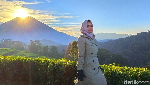Foto: Kebun Teh Cantik buat Liburan Akhir Tahun di Brebes