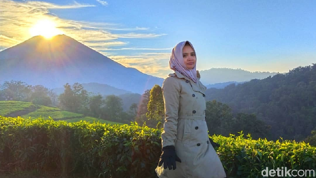 Pesona Liburan Akhir Tahun di Kebun Teh Kaligua Nan Sejuk