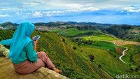 Kebun Teh Kaligua yang berada di Desa Pandansari, Kecamatan Paguyangan, Brebes, Jawa Tengah merupakan kawasan berhawa sejuk dan memiliki panorama alam luar biasa indah. (Imam Suripto/detikcom)