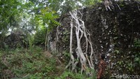 Usut punya usut, rupanya itu berkaitan dengan keberadaan situs Kandang Munding. Menurut cerita masyarakat setempat, lokasi situs Kandang Munding disebut sebagai kandang kerbau siluman. (Faizal Amiruddin/detikcom)