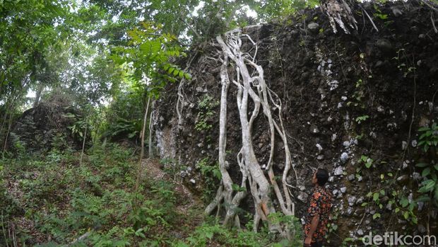 Kisah Desa di Pangandaran yang Kerbaunya Raib Secara Gaib