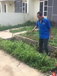 Sekuriti Villa Citayam, Bojonggede, Bogor, menemukan anak ular kobra.