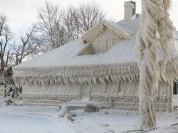 Potret Benda dan Hewan Aneh yang Menambah Pengetahuan