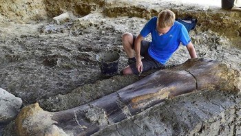 Ini adalah fosil tulang paha dinosaurus yang ditemukan di Pernacis. Beratnya 500 kilogram. Foto: Bored Panda