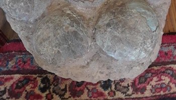 Fosil telur dinosaurus. Foto: Bored Panda