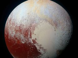 Potret Benda dan Hewan Aneh yang Menambah Pengetahuan