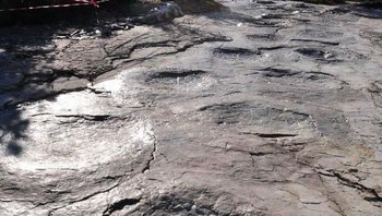 Bekas jejak kaki dinosaurus di Perancis. Foto: Bored Panda