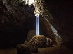 Potret Benda dan Hewan Aneh yang Menambah Pengetahuan