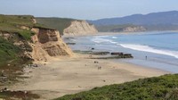 Akhir pekan lalu Pantai Drake di California, AS, dihebohkan oleh keberadaan ikan yang menyerupai penis. Ini dia pantai yang jadi lokasinya (California Beaches)