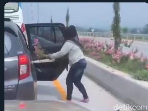 Emak-emak yang Curi Bunga di Tengah Jalan Bukan Warga Malang, Lalu?