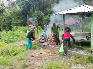 Yuk! Bersihkan Sampah di Jalur Pendakian Gunung Rinjani