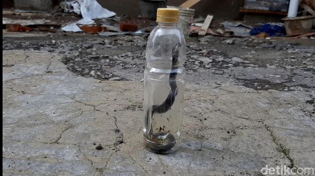 Kilas Berita Hari Ini di Jabar: Kebakaran Maut Karawang hingga Teror Kobra