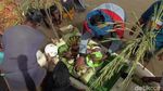 Potret Tradisi Mandi Bareng Warga Sulawesi Barat