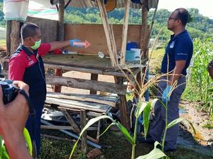 2 Warga Sumbawa Barat Tersambar Petir di Ladang Jagung, 1 Tewas