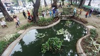 Kawasan kolam paling diminati oleh anak-anak.