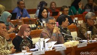Wimboh Santoso saat memaparkan pengambilan keputusan AT Otoritas Jasa Keuangan (OJK) Tahun 2020.