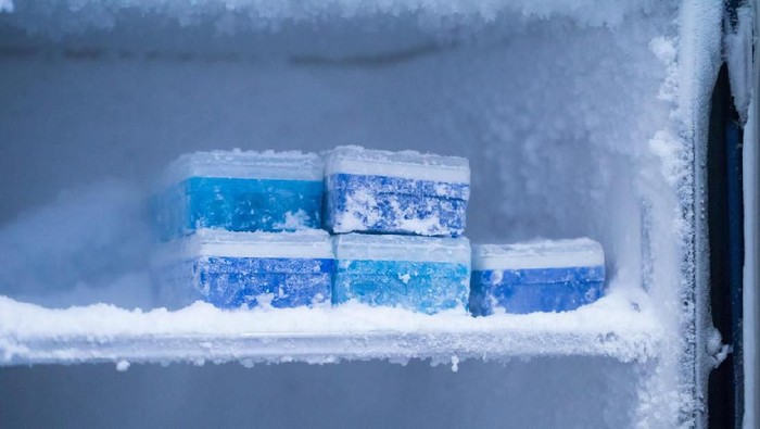 -80 degree frige in the lab