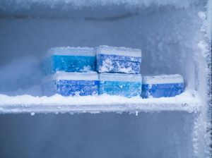 Bunga Es Bikin Freezer Penuh? Begini Cara Bersihkannya