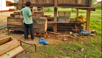 Beginilah kandang ularnya di sana (CNN)