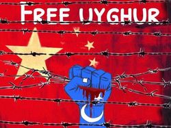 Aneka Meme Bela Uighur di Twitter