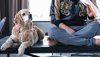 Sedang melakukan photoshoot, Song Joong Ki berpose dengan roti dan anjing di sampingnya. Foto: Instagram @songjoongkionly