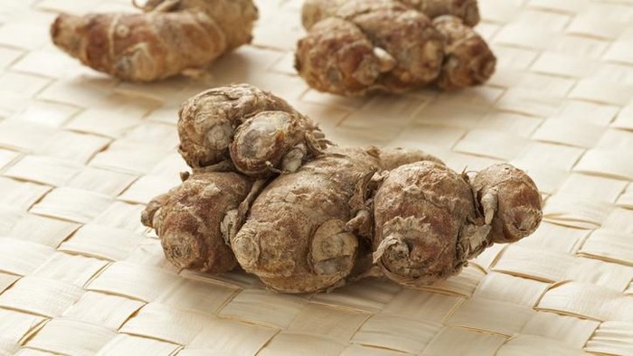Fresh aromatic kencur rhizomes