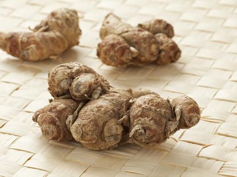 Fresh aromatic kencur rhizomes