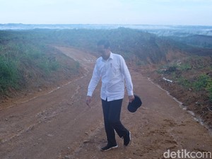 Momen Sneakers Jokowi Berlumpur Saat Tinjau Lokasi Ibu Kota Baru
