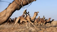 Menjelajahi gurun juga asyik dengan naik unta. Gunung Thar di India menawarkan sensasi menunggang dan balapan unta (CNN)
