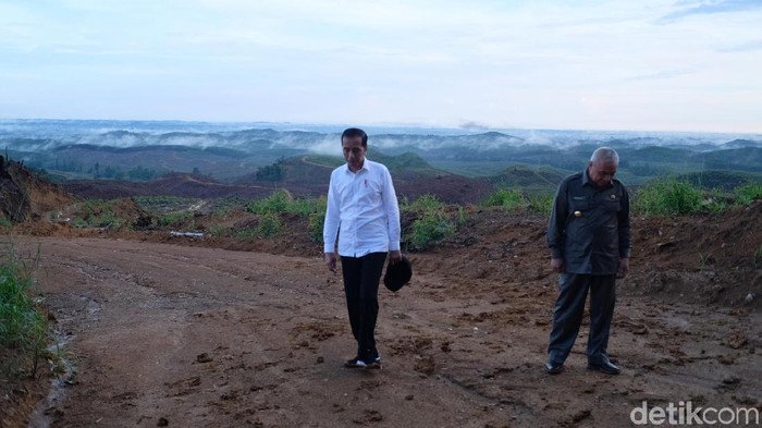 Presiden Jokowi meninjau lokasi ibu kota negara yang baru di Penajam Paser Utara, Kaltim.