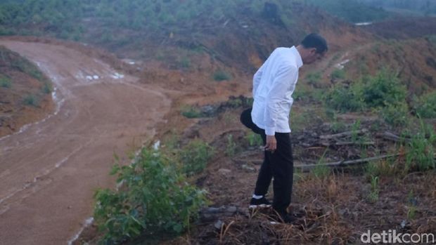 Momen Sneakers Jokowi Berlumpur Saat Tinjau Lokasi Ibu Kota Baru