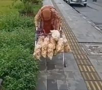 Kesulitan Jalan, Nenek 110 Tahun Ini Jualan Kerupuk Pakai Tongkat