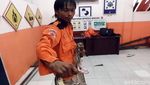 Ngeri! Ular Sanca dan Kobra Diamankan di Sukabumi