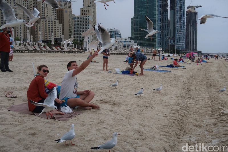 Foto Pantai Bikini Di Pulau Buatan Dubai Foto 8