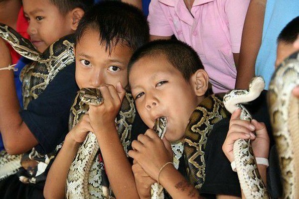 140 Rumah di sana setidaknya memiliki 1 ekor ular kobra atau ular piton (kebanyakan ular kobra). Masyarakat di sana sudah hidup bersama ular sejak 60 tahun lalu (CNN) 140 Rumah di sana setidaknya memiliki 1 ekor ular kobra atau ular piton (kebanyakan ular kobra). Masyarakat di sana sudah hidup bersama ular sejak 60 tahun lalu (CNN)