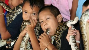 Profil Desa Ban Khok Sa-Nga: Desa Ular Kobra di Thailand