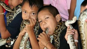 Foto: Penampakan Desa Kobra