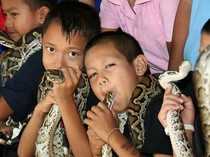 Profil Desa Ban Khok Sa-Nga: Desa Ular Kobra di Thailand