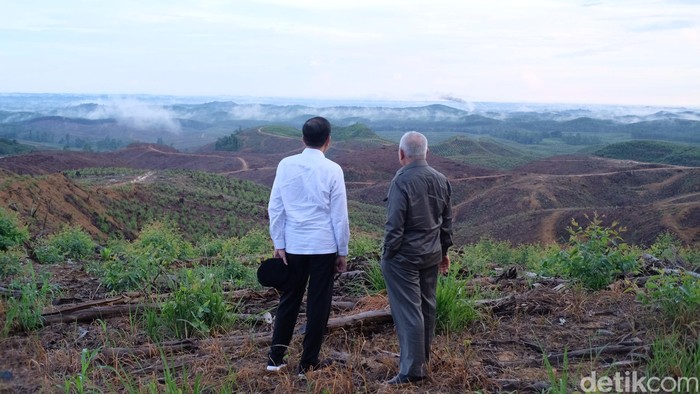 Presiden Jokowi meninjau lokasi ibu kota negara yang baru di Penajam Paser Utara, Kaltim.