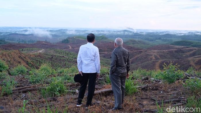 Presiden Jokowi meninjau lokasi ibu kota negara yang baru di Penajam Paser Utara, Kaltim. Presiden Jokowi meninjau lokasi ibu kota negara yang baru di Penajam Paser Utara, Kaltim.