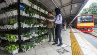Kini di sepanjang area peron stasiun terdapat taman vertikal yang semakin membuat asri stasiun tersebut.