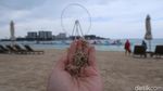 Foto: Pantai Bikini di Pulau Buatan Dubai