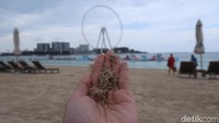 Yang membuat pantai ini jadi populer adalah pemandangan Ain Dubai di seberang pantai. Ain Dubai adalah kincir ria yang dibuat menyerupai The Eye London (Bonauli/detikcom)