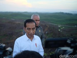 Jokowi Mau Beri Nama Ibu Kota Baru Tahun Depan