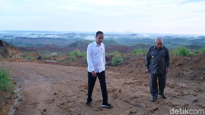 Presiden Jokowi meninjau lokasi ibu kota negara yang baru di Penajam Paser Utara, Kaltim.