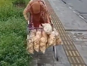 Kesulitan Jalan, Nenek 110 Tahun Ini Jualan Kerupuk Pakai Tongkat