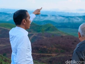 Jokowi Janji Tak Bangun Pabrik di Ibu Kota Baru