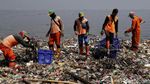 Ramai-ramai Bersihkan Tumpukan Sampah di Pantai Cilincing